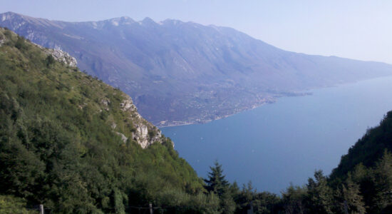 Punta Larici