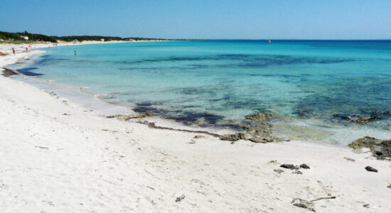 Punta Prosciutto