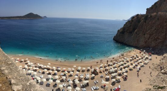 sole