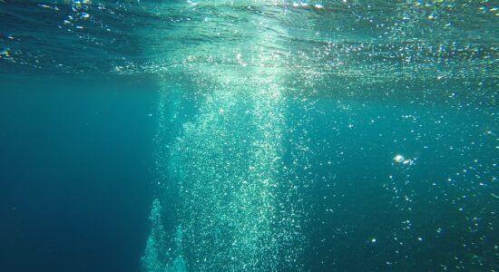 tuffo