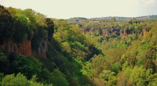 valloni parco regionale marturanum