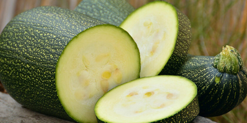 zucchini
