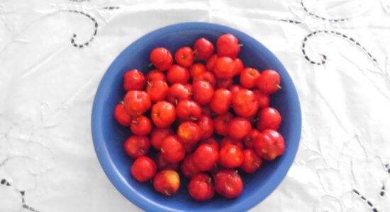 acerola