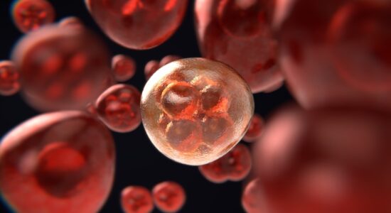 cellule cancergone