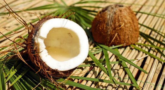 noce di cocco