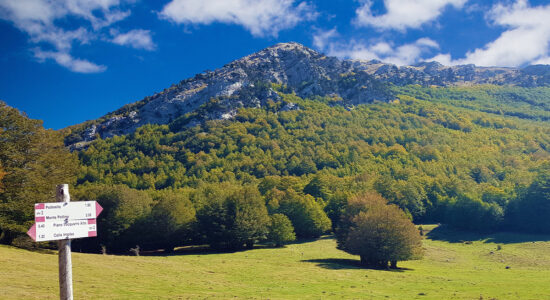 Parco del Pollino