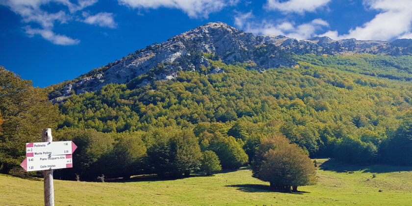 Parco del Pollino