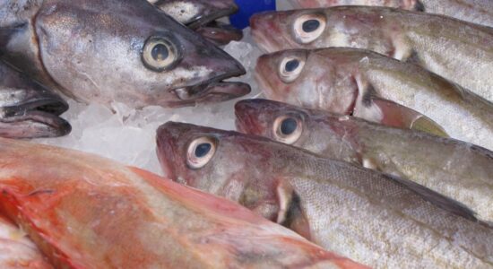 pesce