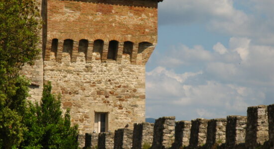 Todi