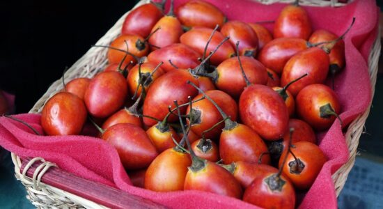 Tamarillo