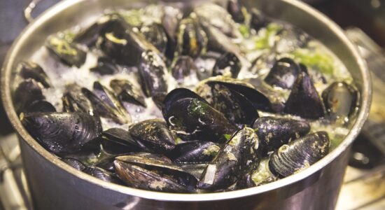 acqua delle cozze