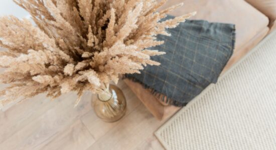 cortaderia pampas