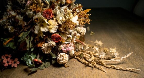 fiori secchi
