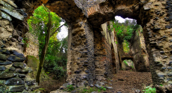 Galeria