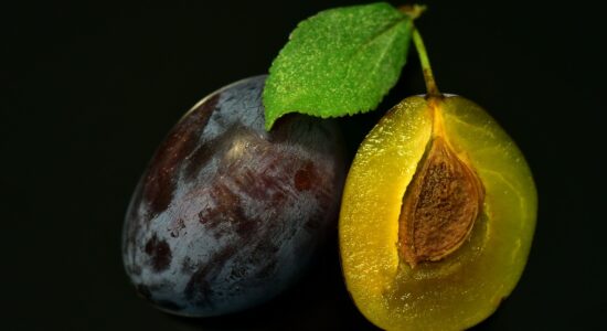 Noccioli
