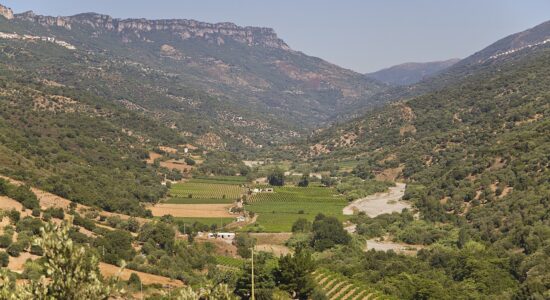 Ogliastra