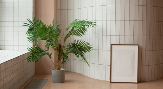 pianta