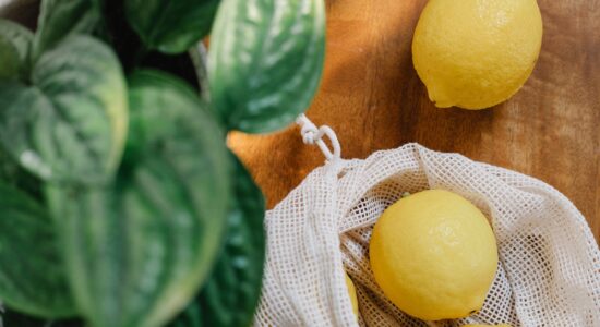 pianta limone