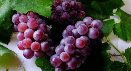 alimento uva