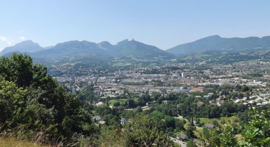Savoia