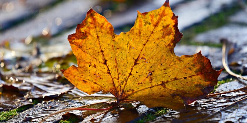 autunno