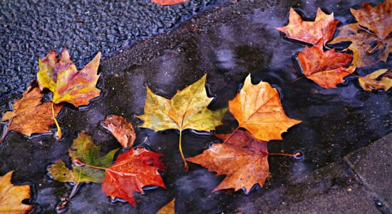 autunno