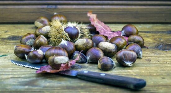 castagne