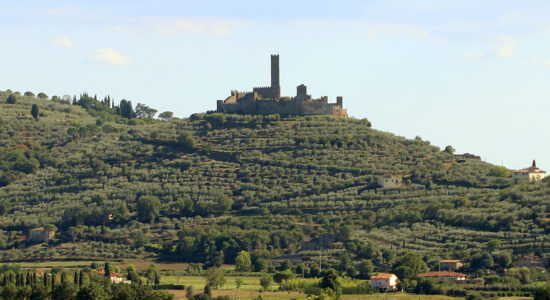 Castello di Montecchio Vesponi