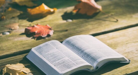 libro