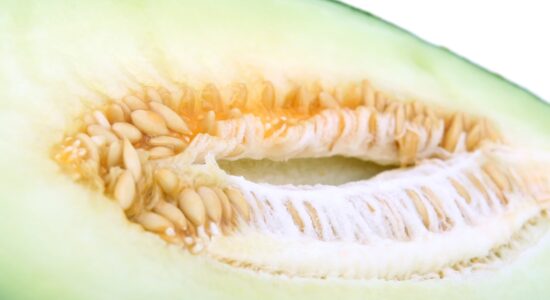melone bianco