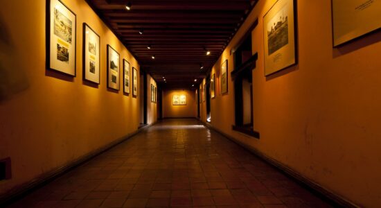 mostra