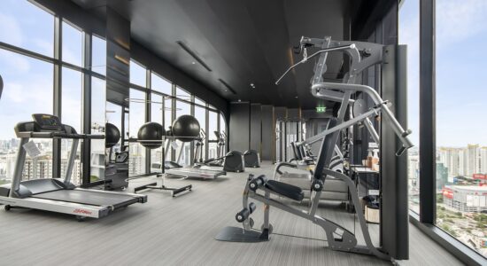 palestra