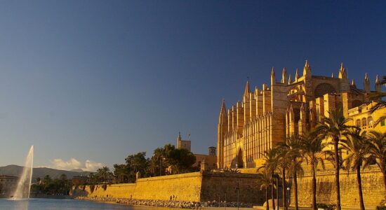 palma di maiorca