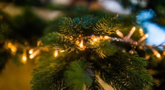natale