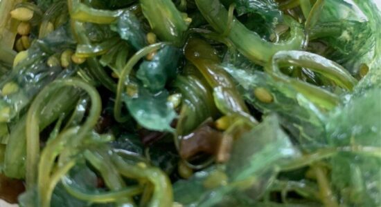 alga