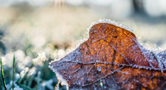 inverno
