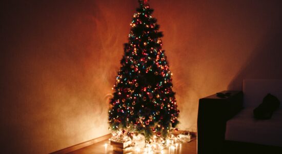 albero
