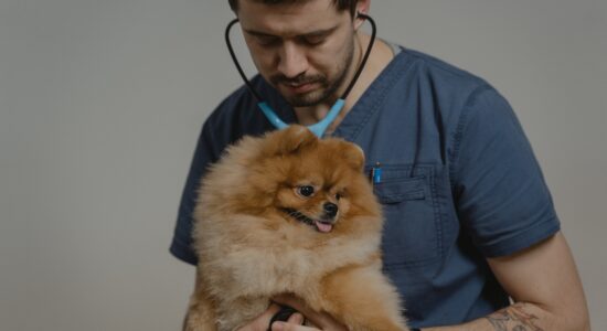 cane