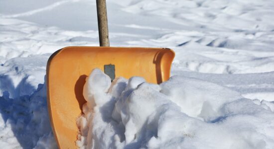 pala da neve