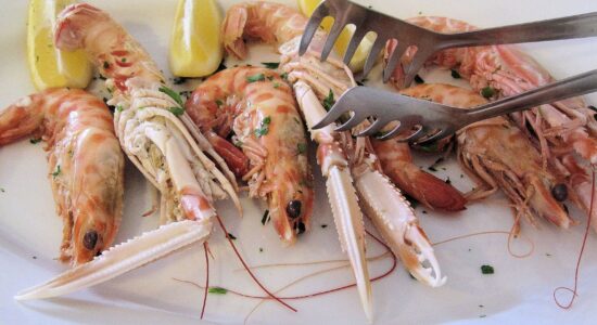 scampi