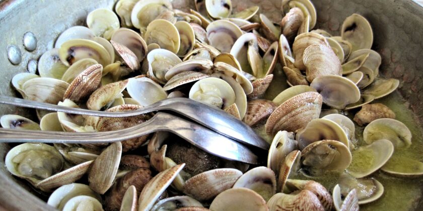 vongole