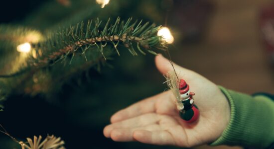 albero