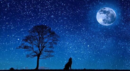 astrologia