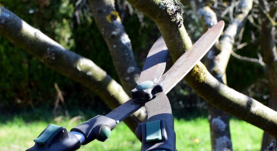forbici da giardinaggio