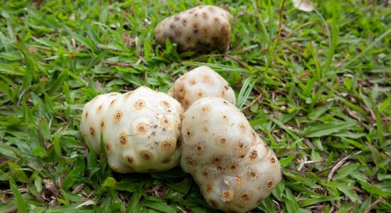 noni
