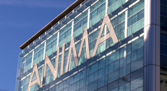 ANIMA HOLDING