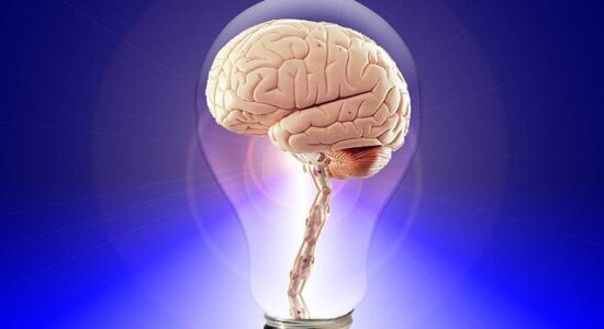 intelligenza