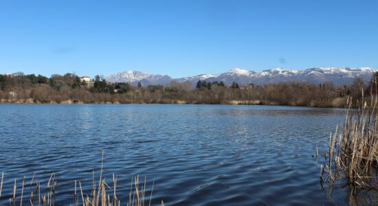 lago di Sartirana