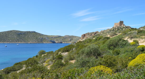 Isola di Cabrera