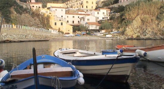 Isola Gorgona